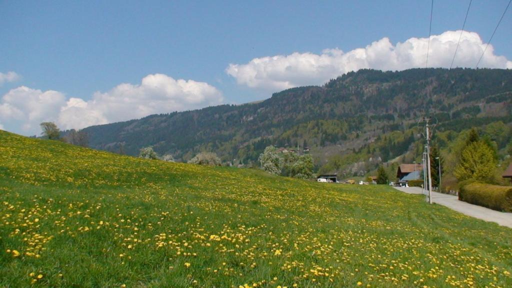 Araches-la-Frasse Le Chalet D'Ulysse מראה חיצוני תמונה